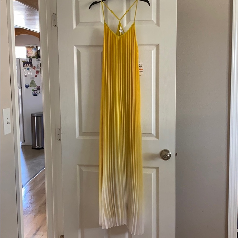 Bar III maxi dress